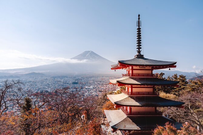 Mt Fuji :1-Day Private Tour With English-Speaking Driver - Key Points