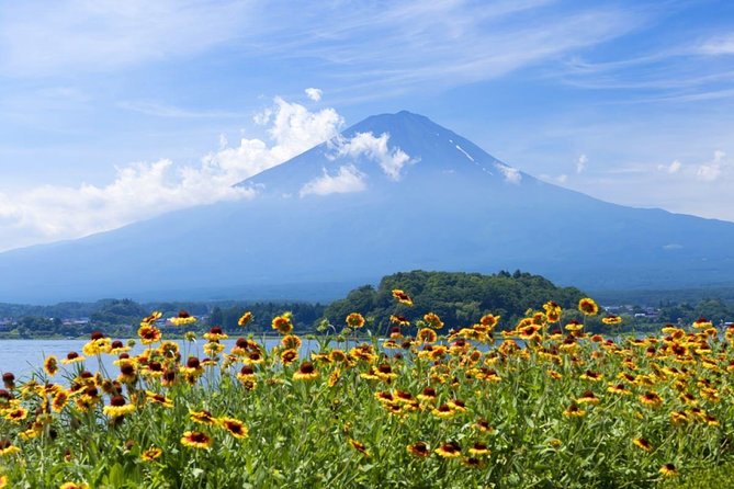 Mt Fuji Day Tour With Kawaguchiko Lake and Fifth Station - Key Points