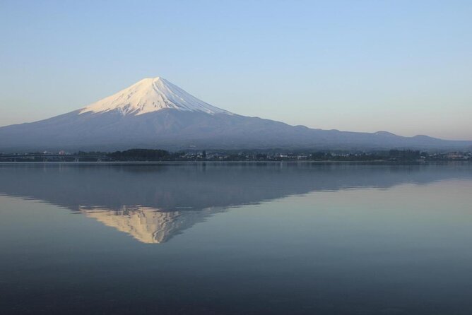 Mt. Fuji Five Lakes Area Private Day Trip With Licensed Guide (Tokyo Dept) - Key Points