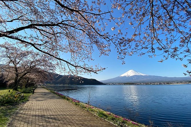 Mt Fuji Wineries Half-Day Tour - Key Points