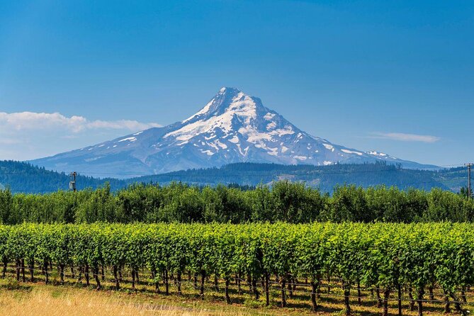 Mt. Hood and Columbia River Gorge Full-Day Tour From Portland - Key Points
