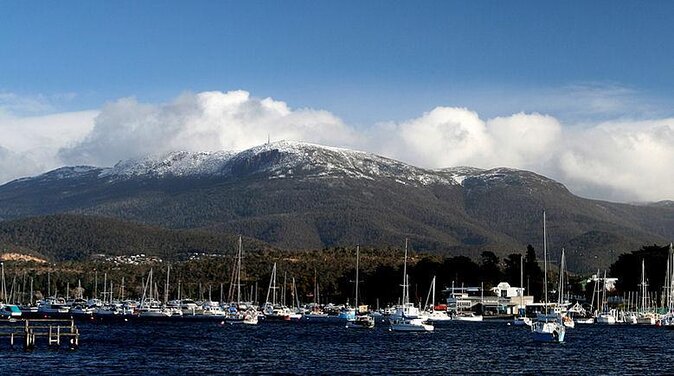 Mt. Wellington, Bonorong and Richmond Day Tour From Hobart - Key Points