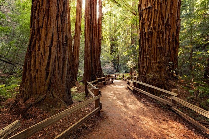 Muir Woods and Sausalito Small-Group Tour - Key Points