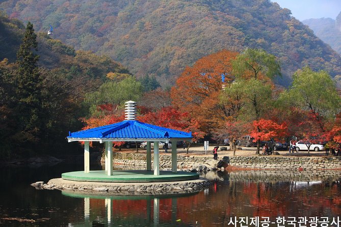 Naejangsan National Park Autumn Foliage Tour From Busan