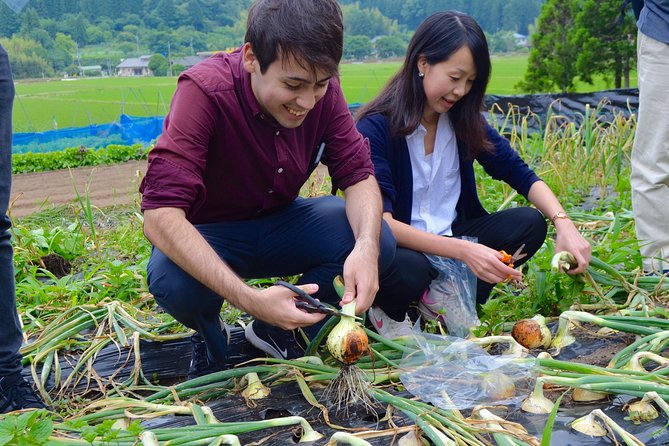 Nasu: Private Bike Tour and Farm Experience  - Nasu-machi - Key Points