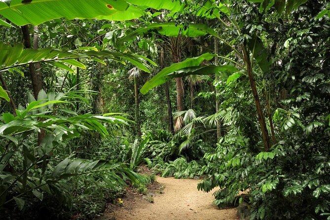 Nature Photography Guided Walks: Cairns  - Cairns & the Tropical North - Key Points