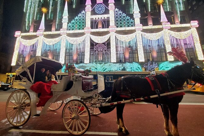 New York City Christmas Lights Private Horse Carriage Ride - Key Points
