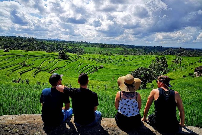 North and West Bali Private Transport-Only Tour  - Ubud - Key Points