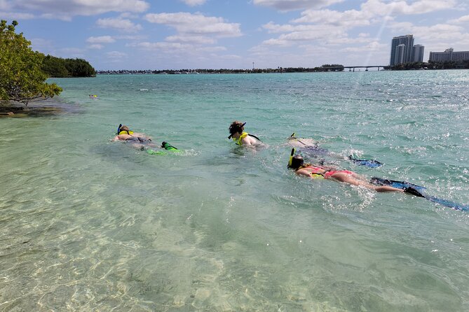 North Miami: Snorkeling By Kayak or SUP Tour - Key Points