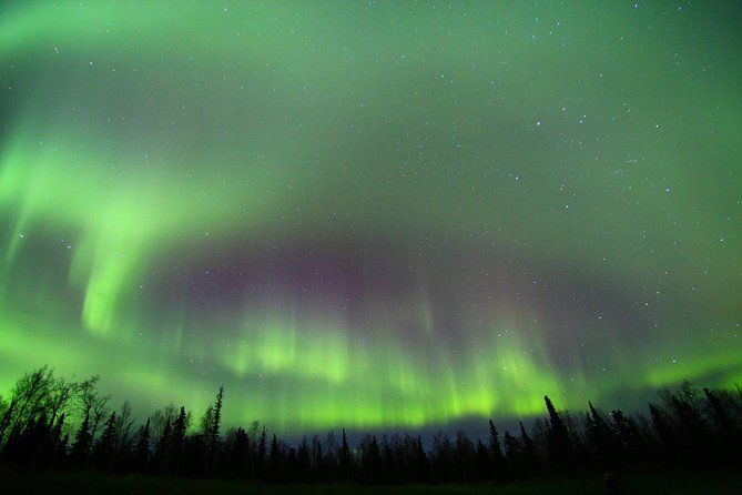 Northern Lights Lodge Viewing in Fairbanks - Lodge Experience and Amenities