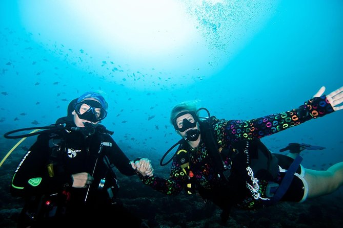 Nusa Penida Try Scuba Diving Program - for Non-Certified Divers - Key Points