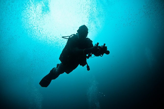 Nusa Penida Two Dives Trip for Certified Divers - Key Points