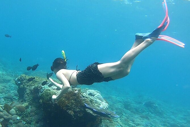 Nusa Penida: Unforgettable Snorkeling Adventure With 4 Spots - Key Points