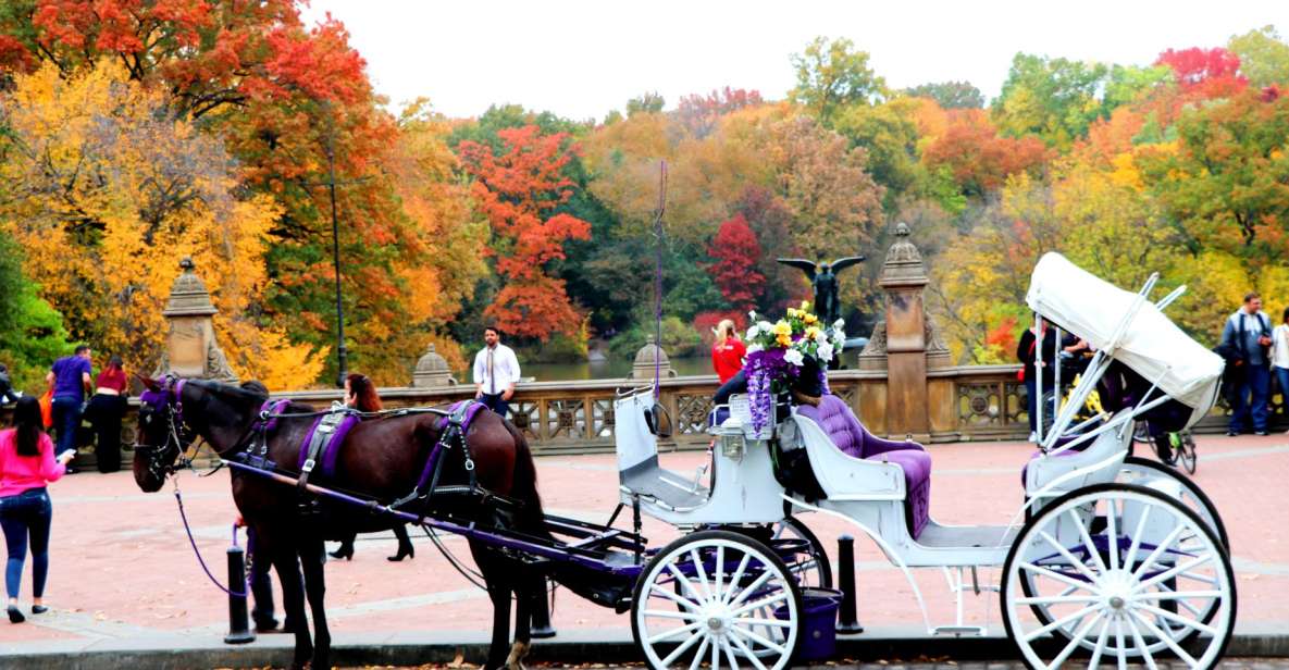 NYC: Central Park Horse-Drawn Carriage Ride (up to 4 Adults) - Key Points