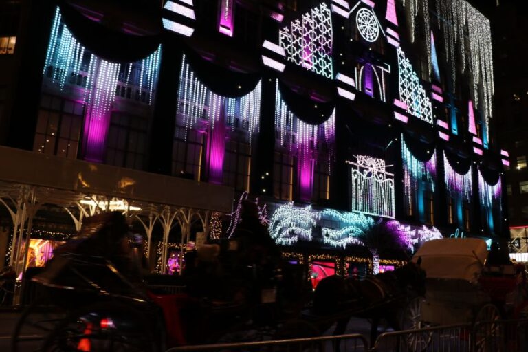 NYC: Magical Christmas Lights Carriage Ride (Up to 4 Adults)