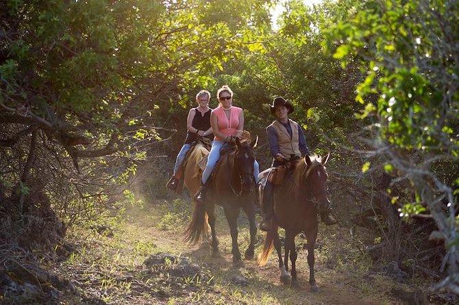 Oahu Sunset Horseback Ride - Key Points