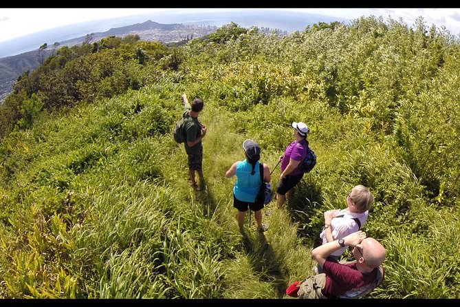 Oahu Volcanic Rainforest Hiking Adventure - Trail Highlights