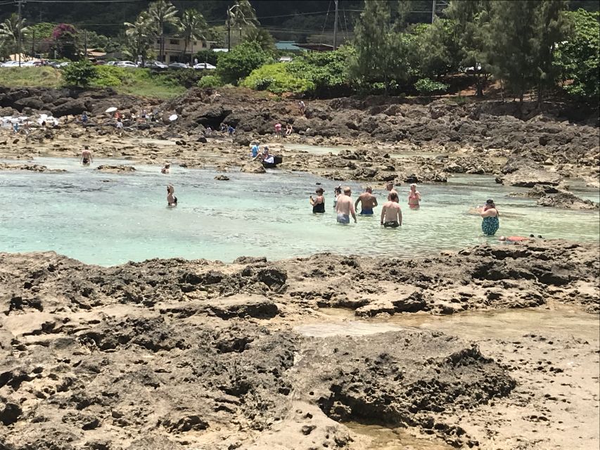 Oahu: Waimea Falls & North Shore Swim With Turtles Beach Day - Key Points