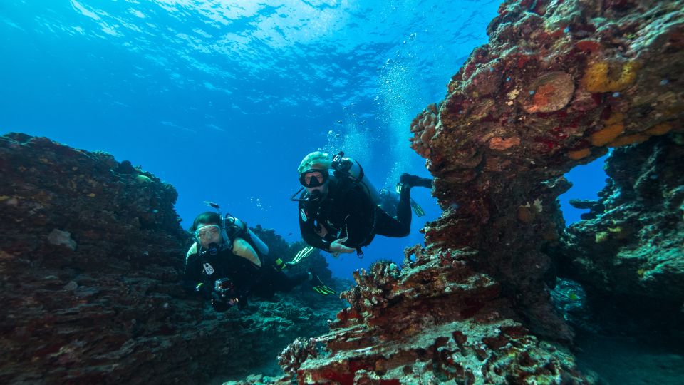 Oahu: Wreck & Reef Scuba Dive for Certified Divers - Key Points