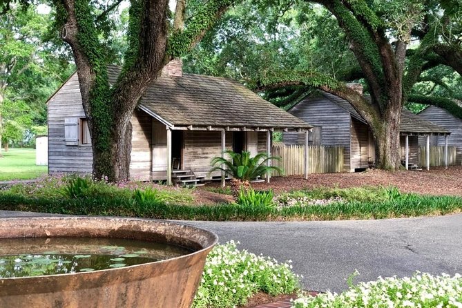 Oak Alley Plantation and Large Airboat Swamp Tour From New Orleans - Tour Details