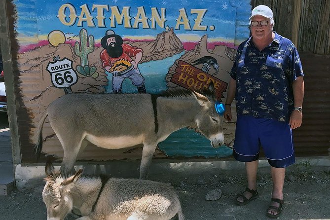 Oatman Mining Camp, Burros, Museums & Scenic RT66 Tour Small Grp - Key Points