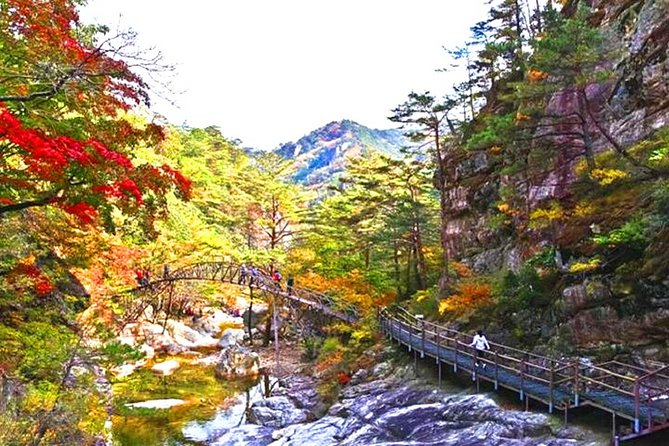 Odaesan National Park Hiking Day Tour: Explore Autumn Foliage Korea - Key Points