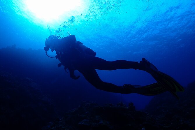 Okinawa Scuba Diving for Certified Divers (3 Boat Dives Lunch) - Key Points