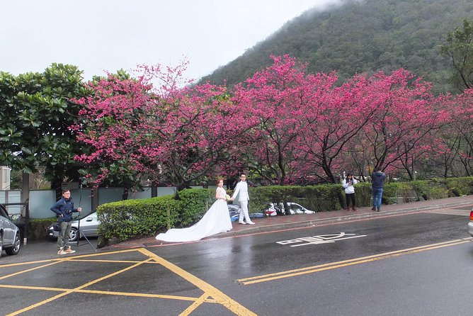 One-day Yangmingshan NP Beitou Hot Spring Park and Tamsui Tour Package - Key Points