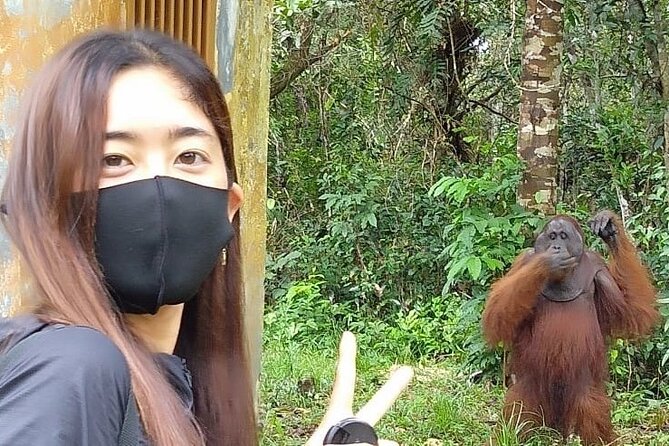 Orangutan Tour Tanjung Puting 3D2N - Key Points