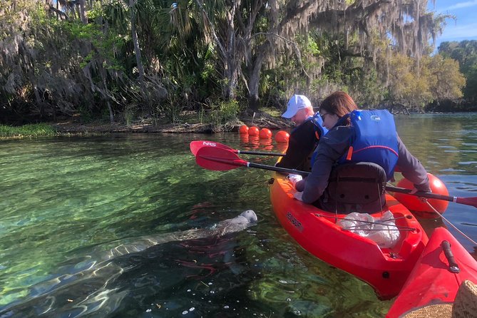 Orlando Manatee Encounters - Key Points