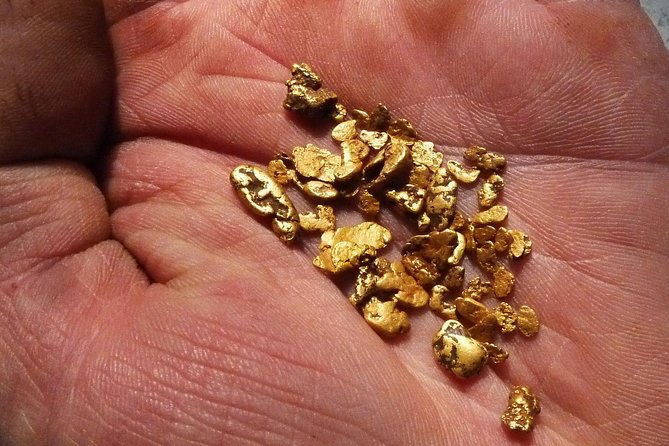 Otago Gold Hunting Adventure  - South Island - Key Points