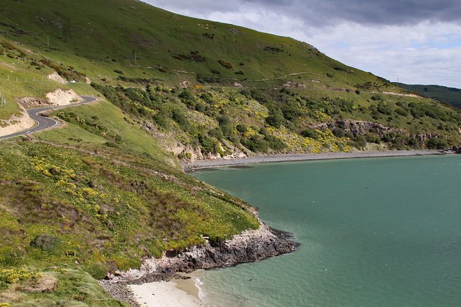 Otago Peninsulas Coastline: A Self-Guided Driving Tour - Key Points