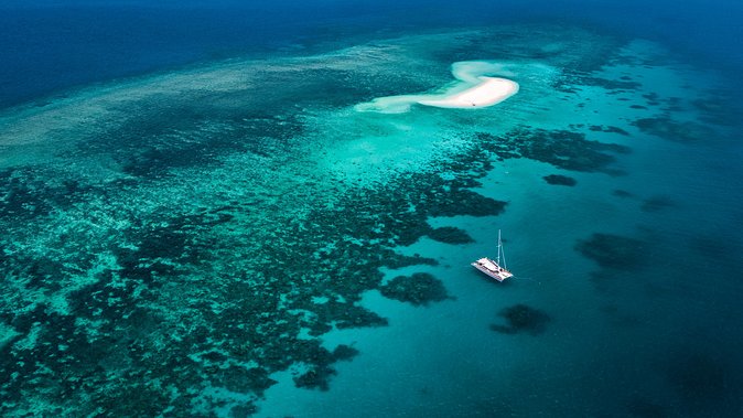 Outer Reef Mackay Cay Sail & Snorkel Adventure From Port Douglas - Key Points