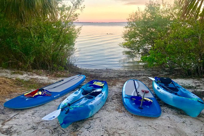Paddle Board or Kayak Eco Dolphin Manatee Tour - Equipment and Inclusions