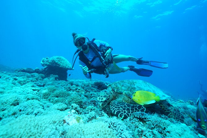 PADI Open Water Course in Lembongan - Get Certified & Dive Anywhere in the World - Course Schedule and Duration