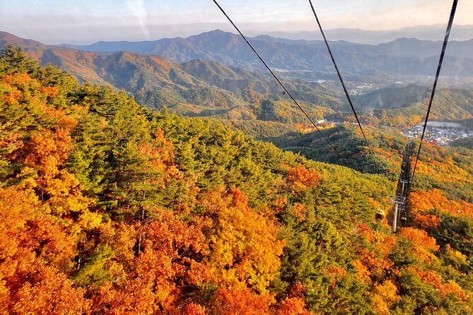 Palgongsan Natural Park Autumn Foliage One Day Tour From Busan - Key Points