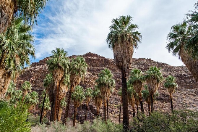 Palm Springs Indian Canyons Bike and Hike - Key Points