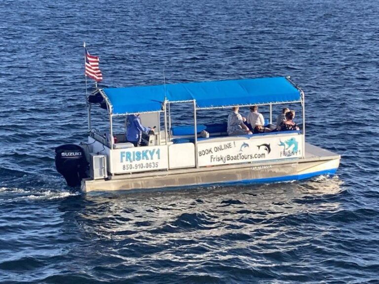 Pensacola Beach Sunset Dolphin Tour Private up to 6 Ppl