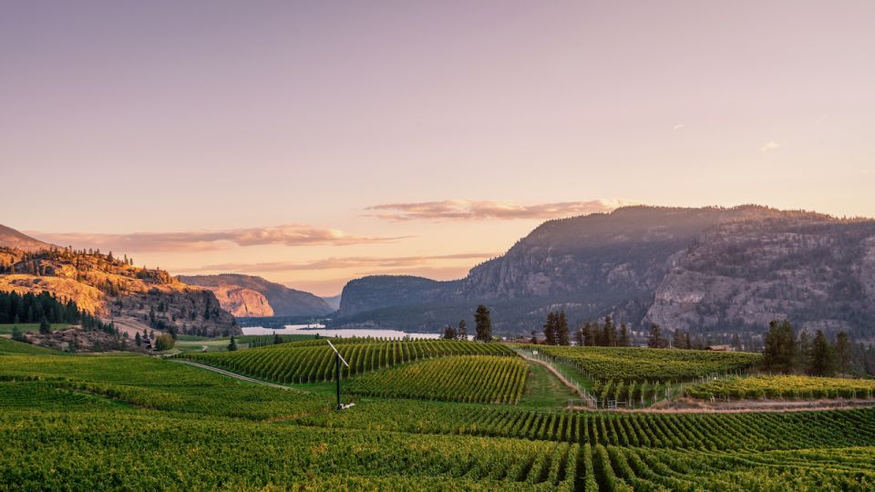 Penticton Wineries Tour - Key Points