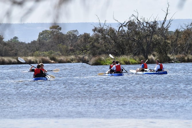 Perth Kayak Tour - Canning River Wetlands - Key Points