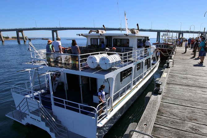 Phillip Island Whale & Dolphin Watching Cruise: San Remo  - Mornington Peninsula - Key Points