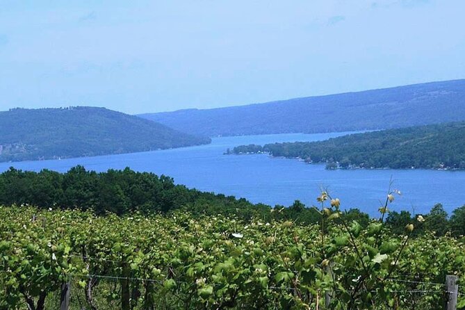 Picturesque Wine-Tasting Around Keuka Lake  - Ithaca - Key Points