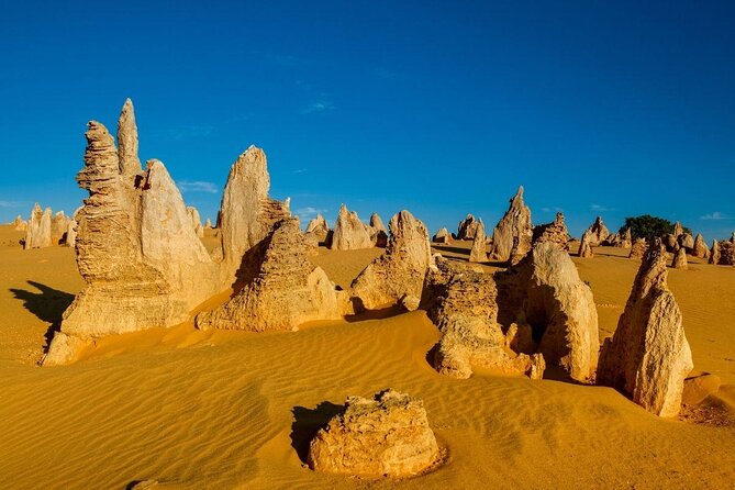Pinnacles Desert Scenic Flight and Ground Tour - Key Points