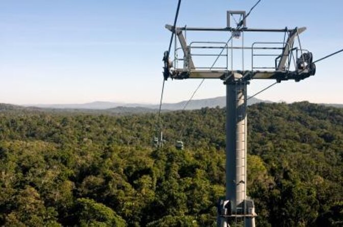 Port Douglas Day Tour Including Kuranda, Skyrail and Scenic Train - Key Points