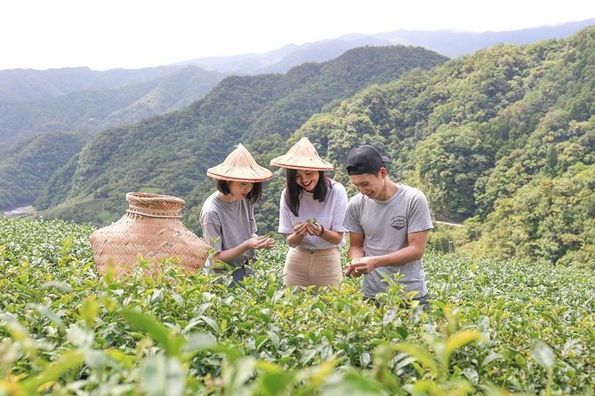 Private 1-Day Tea Experience in Taipei - Key Points
