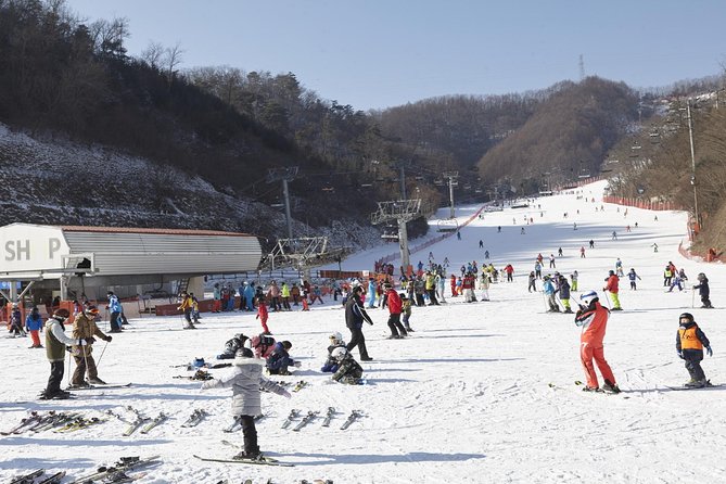 Private 1:1 Ski Lesson Near Seoul, South Korea - Key Points