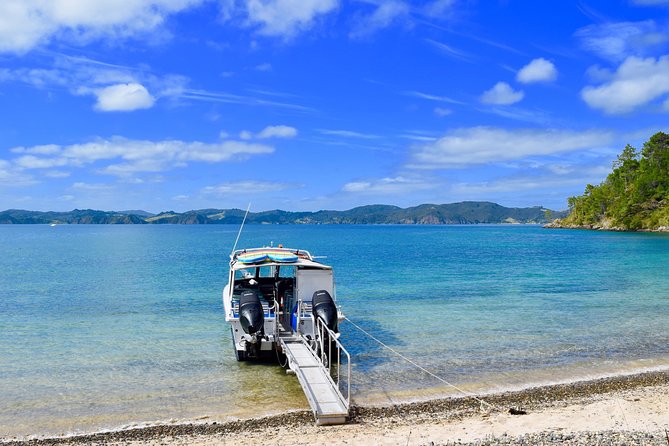 Private Charter - Bay of Islands Cruise & Island Tour - Key Points
