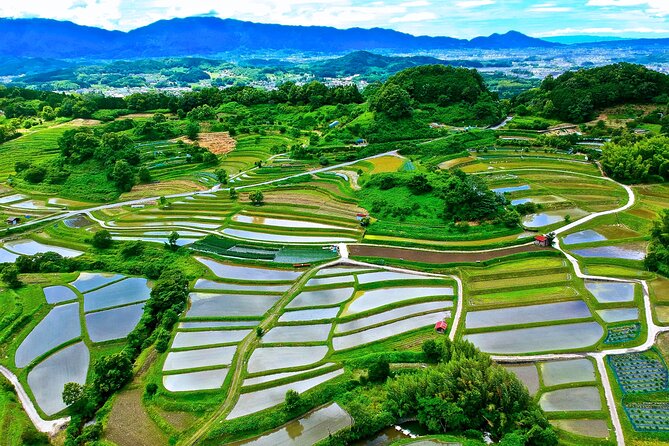 Private Cycling Tour in the First Capital of Japan - Key Points