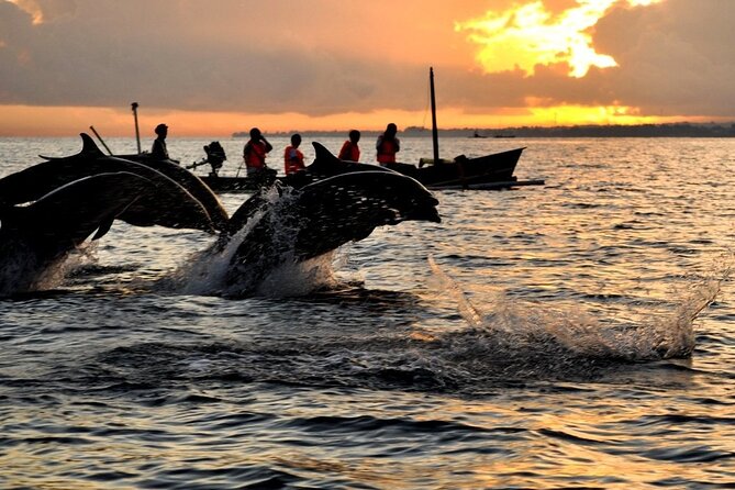 Private Dolphin-Watching Day Tour With Waterfalls & Temple  - Kuta - Tour Itinerary Highlights