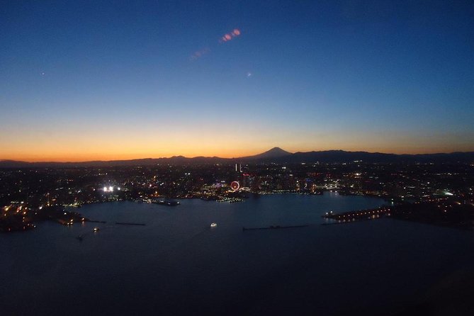 Private Helicopter Tour to See Mt Fuji or Tokyo Tower - Key Points